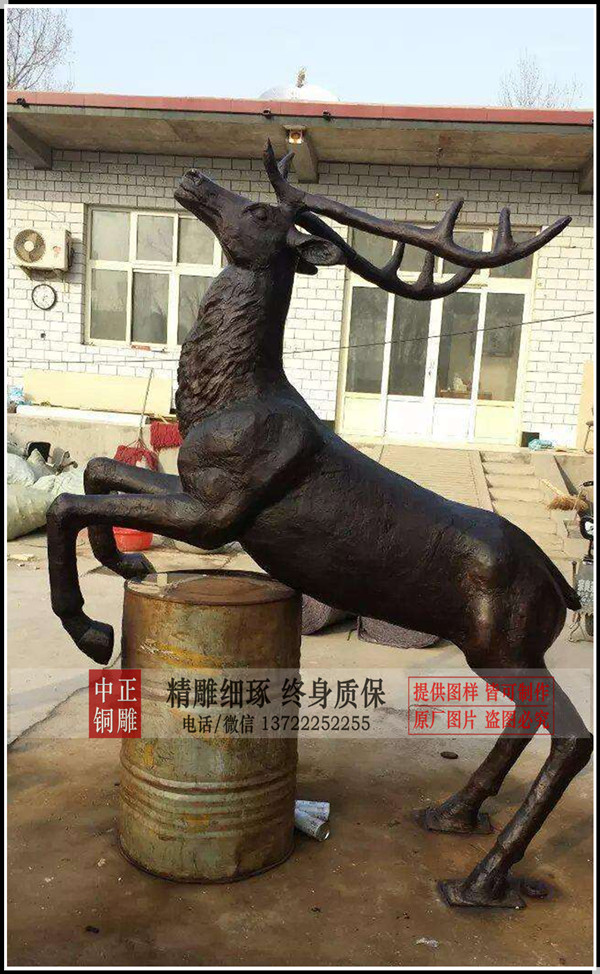 timg (4)_副本.jpg